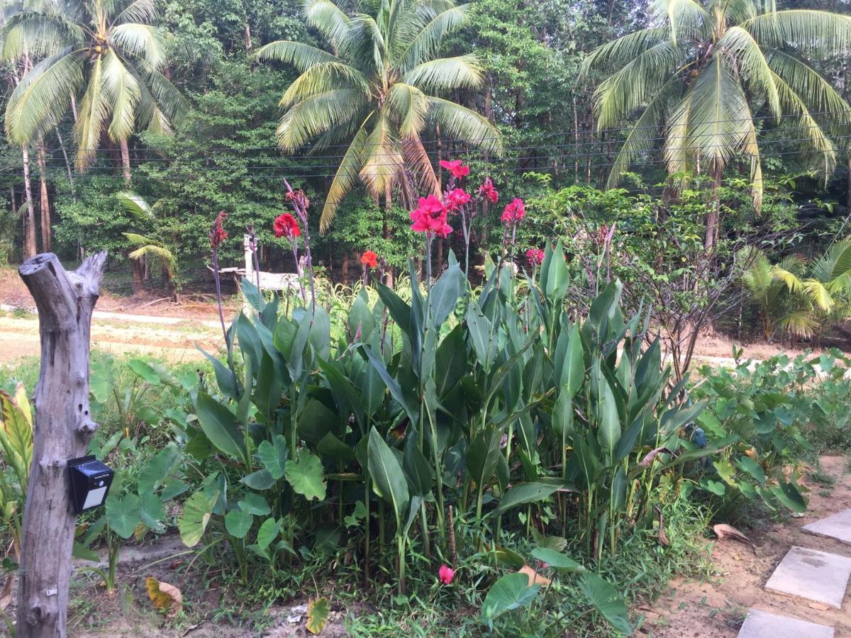 Phayam Garden View Hotel Koh Phayam Exterior foto