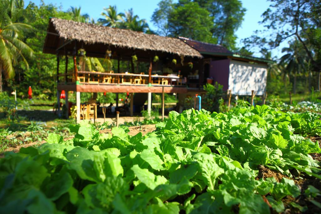 Phayam Garden View Hotel Koh Phayam Exterior foto