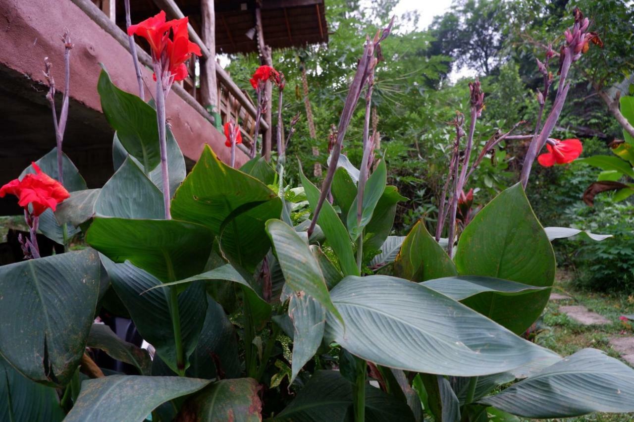 Phayam Garden View Hotel Koh Phayam Exterior foto
